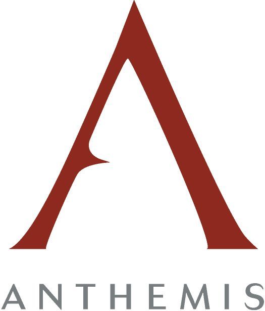 Anthemis
